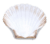 Image de shells to fill