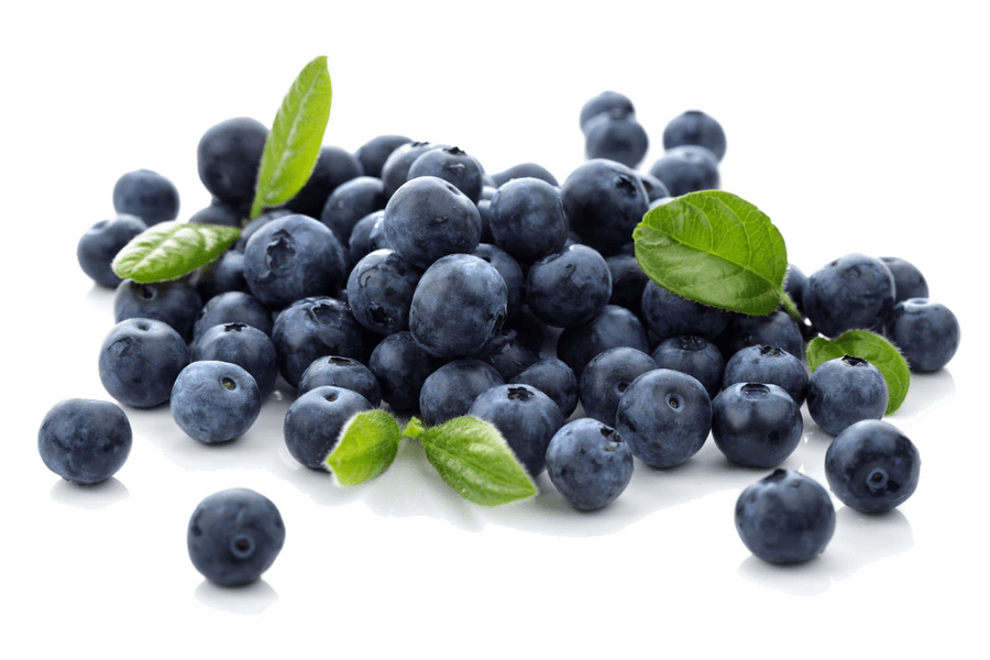 Blueberries in the Kitchen: Season, Nutrition, and Preparation