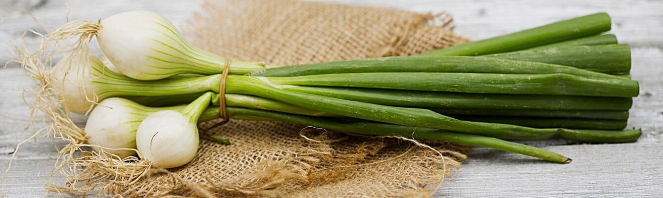 Spring onions: a springtime kitchen staple