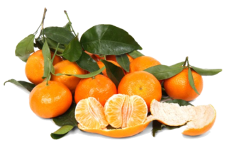 Clementines in the Kitchen: Season, Nutritional Value, and Preparation