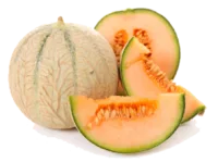 Melon
