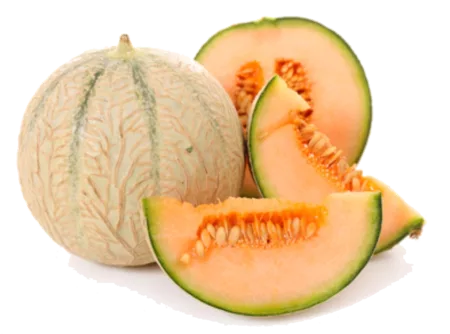 Melon