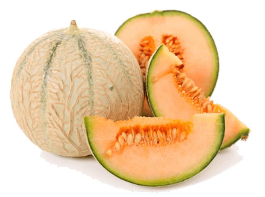 Melons in the Kitchen: Season, Nutritional Value, and Preparation