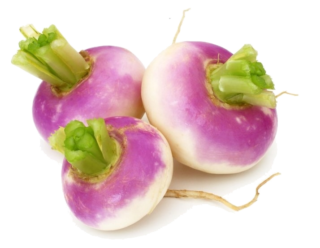 Image de turnip