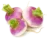 Image de turnip