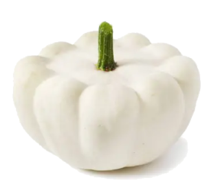 Image de pattypan squash