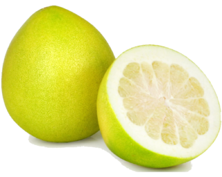 Chinese pomelos in the kitchen: season, nutritional value, and preparation