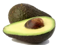 avocat Avocat
