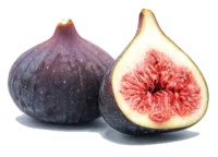 figue Figue