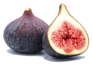 Image de fig