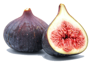 Image de fig