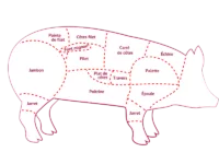 Morceaux du porc
