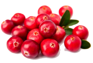 Image de cranberries