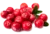Image de cranberries