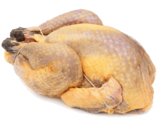 Turkey in the Kitchen: Origins, Nutritional Value, and Preparation