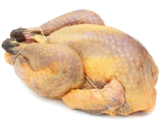 Image de turkey