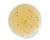 Image de fish stock