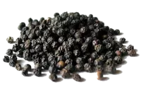 poivre-noir Poivre noir