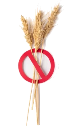Régime sans gluten