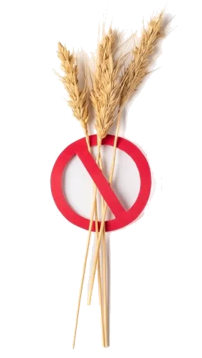 Régime sans gluten
