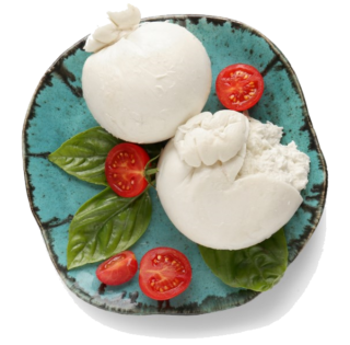 Image de Vegetarian