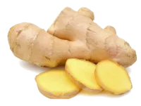 gingembre_tubercule Gingembre