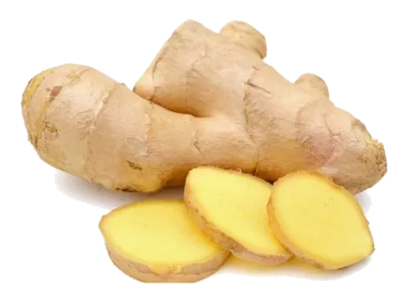 Gingembre