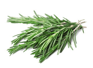 Image de rosemary
