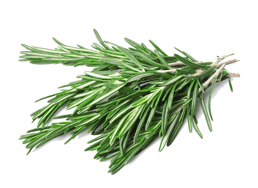 Rosemary in the Kitchen: Origins, Nutritional Value, and Preparation