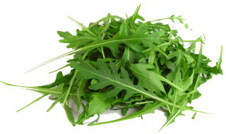 Image de arugula