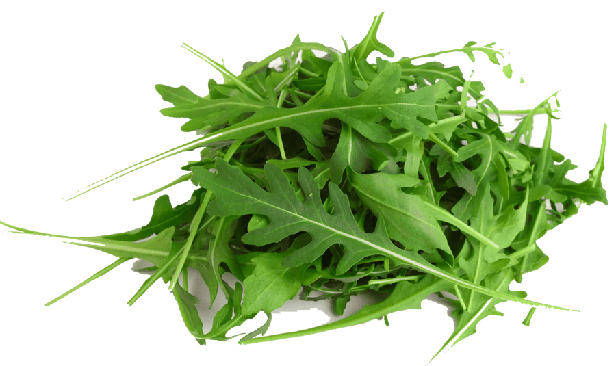 Arugula in the Kitchen: Season, Nutritional Value, and Preparation