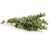 Thym frais branche