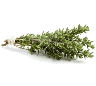 Image de thyme