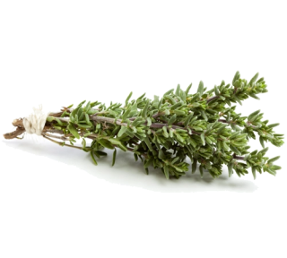 Image de thyme