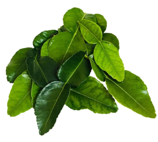 Kaffir lime leaves in cooking: origins, nutritional benefits, and preparation