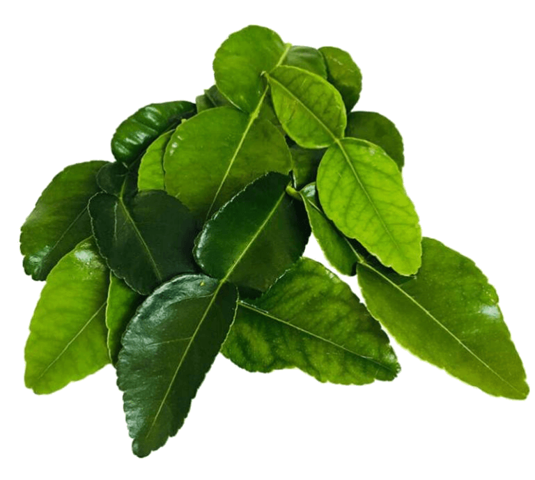 Feuilles de citronnier kaffir ou combava