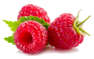 Raspberries in the Kitchen: Season, Nutrition, and Preparation