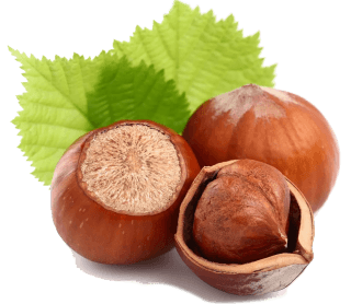 Image de hazelnuts