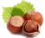 Image de hazelnuts
