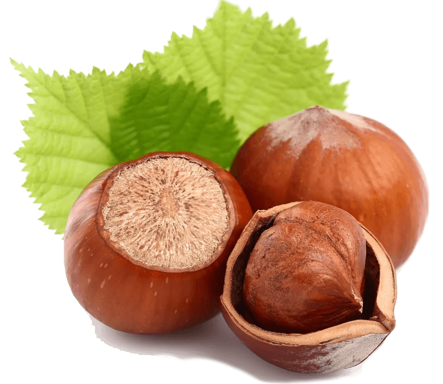 Hazelnuts in the Kitchen: Season, Nutritional Value, and Preparation