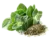 Image de oregano