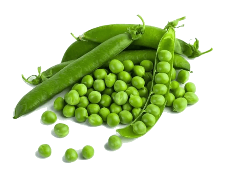 petit_pois Petit-pois