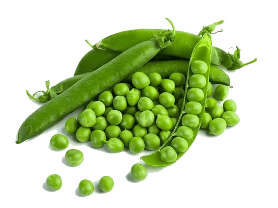 Green Peas in the Kitchen: Season, Nutrition, and Preparation