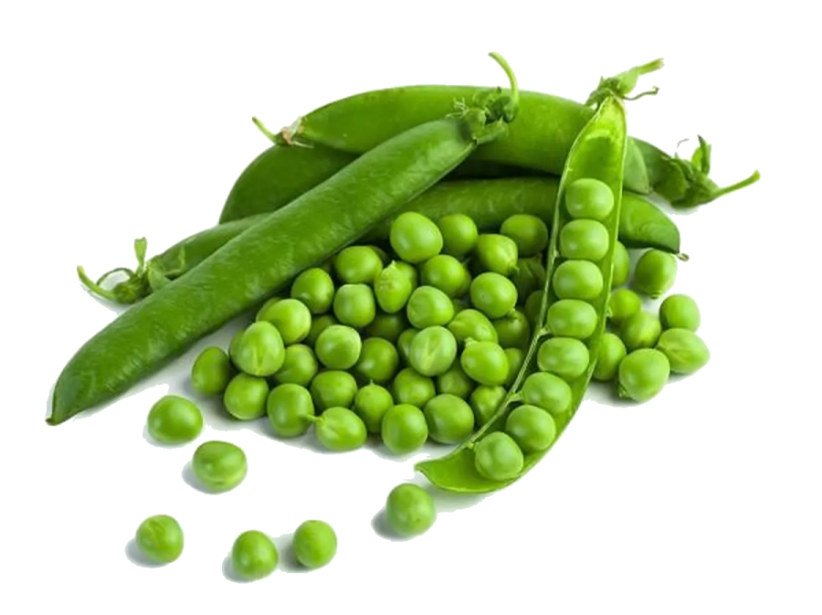 Green Peas in the Kitchen: Season, Nutrition, and Preparation