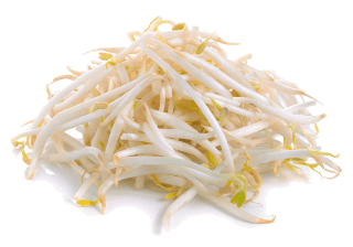 Image de soybean sprouts