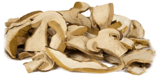 Dried porcini mushrooms in the kitchen: season, nutritional value, and preparation