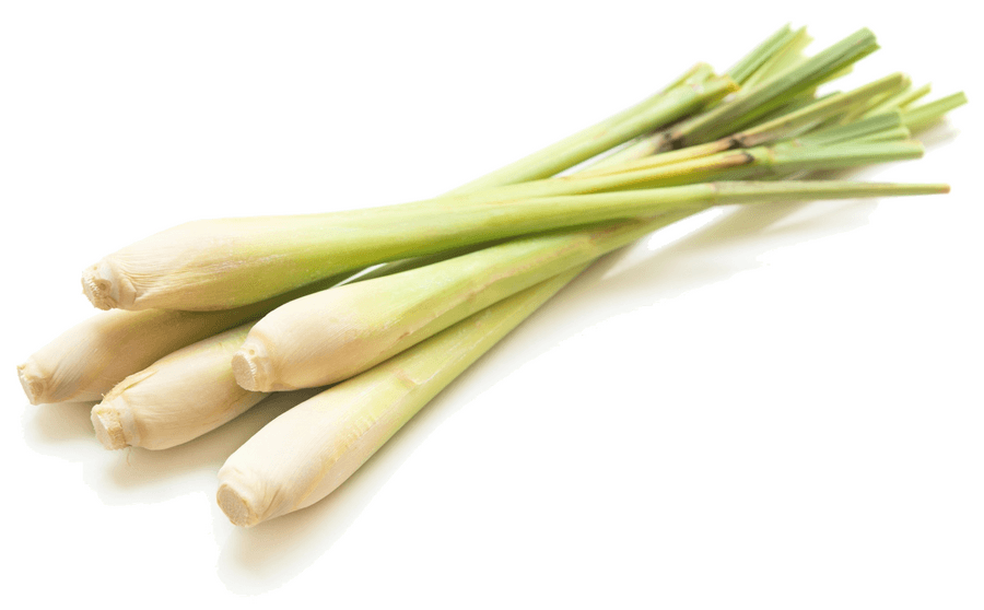 Lemongrass in the Kitchen: Origins, Nutritional Value, and Preparation