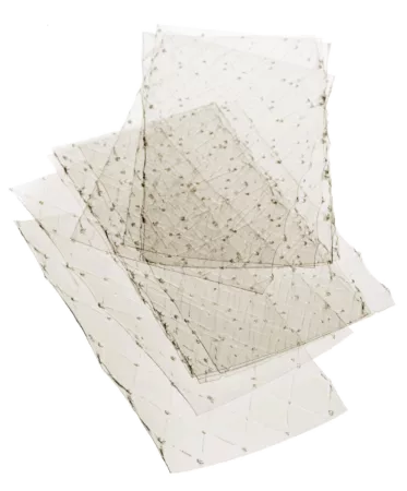 Gélatine alimentaire