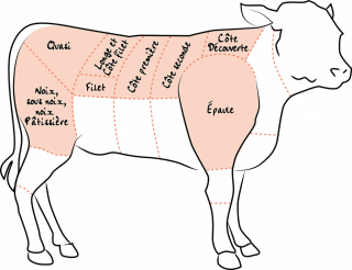 Image de calf