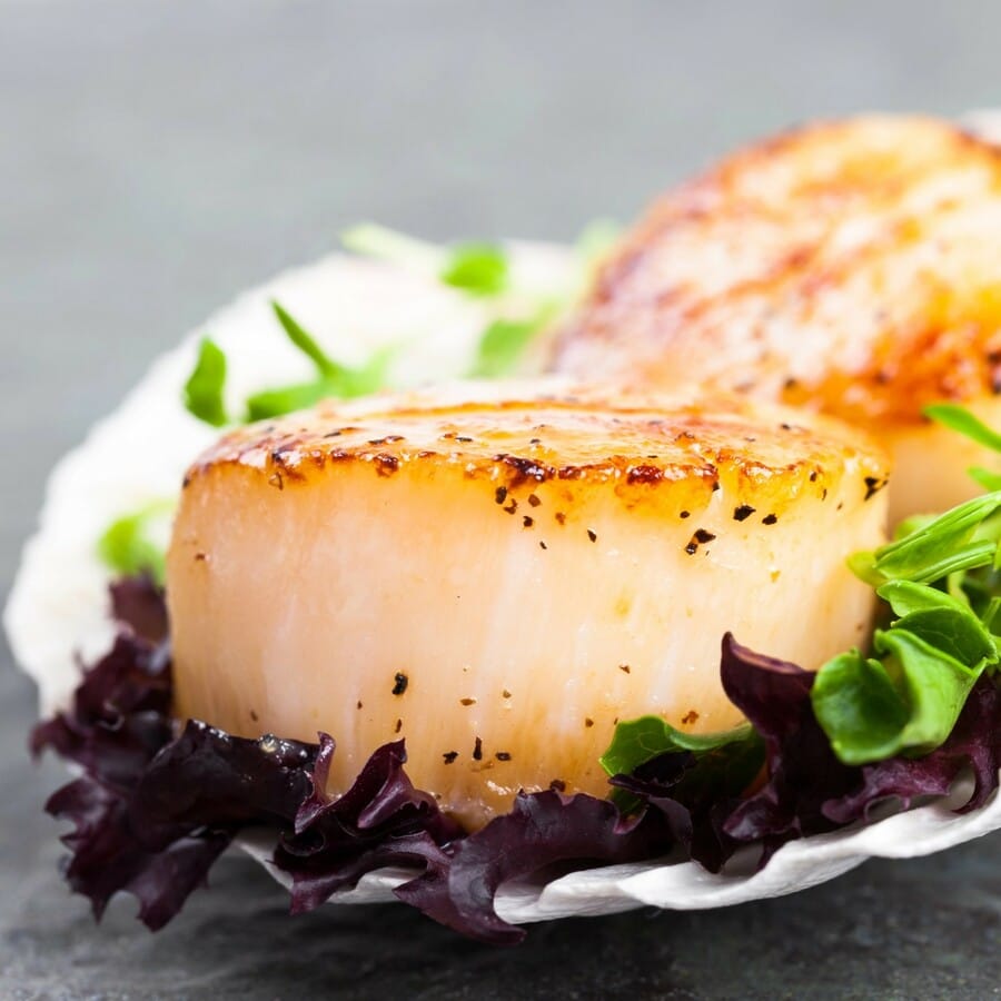 Scallops in the Kitchen: Origins, Nutritional Value, and Preparation